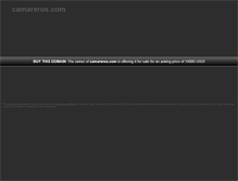 Tablet Screenshot of camareros.com